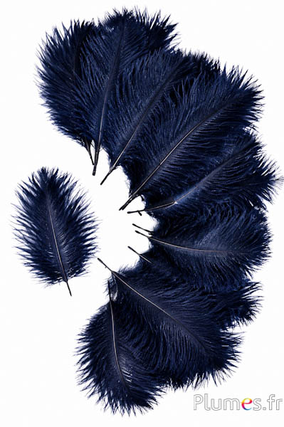 Struzzo Bellies - 8-13 cm - blu notte-nero